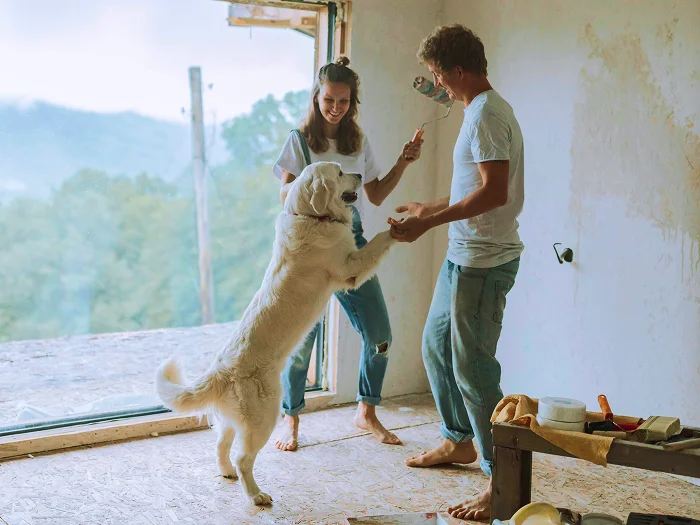 @lang('Casal jovem a brincar com o cão durante uma remodelação, símbolo da leveza e alegria de construir a casa dos seus sonhos com apoio do Poupança no Minuto.')